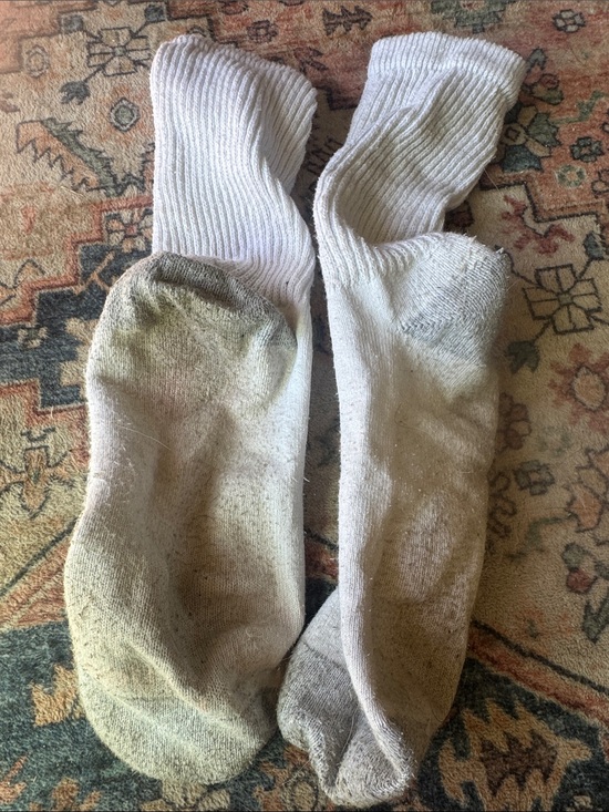 Hanes Accessories - Hanes white crew socks